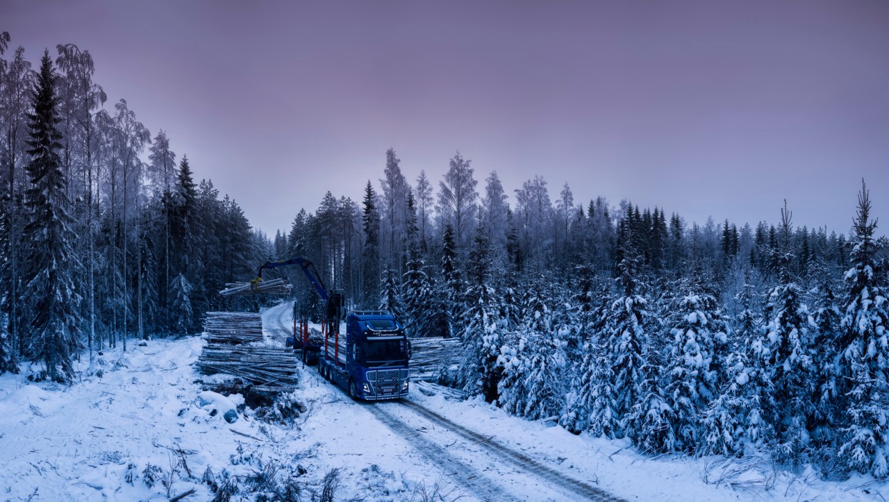 Utovar drvene građe u finskoj šumi.